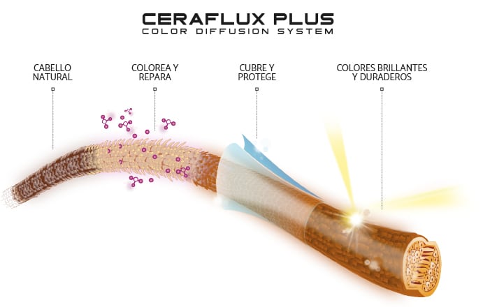 Compuesto Ceraflux Plus de ColorEVO
